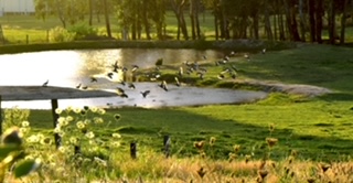 Gypsy Creek Winery, Labertouche - Image 1